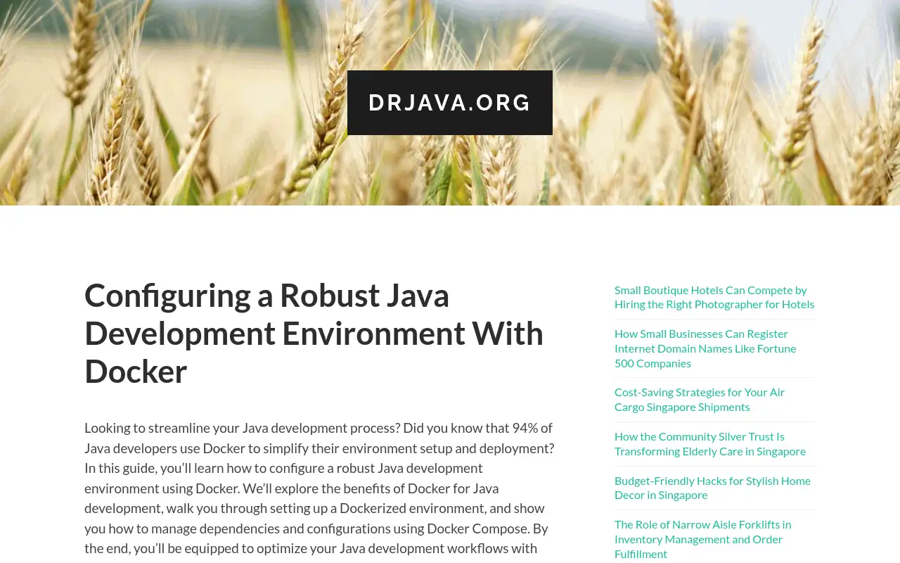 Screenshot of drjava.org