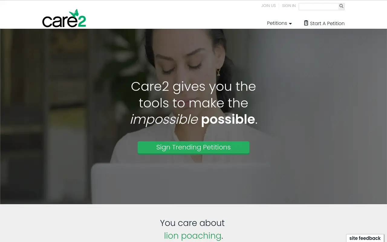 Screenshot of frogloop.com
